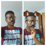 I like llamacorns - @wilfred_taylor - Instagram