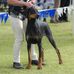Wilfred Taylor Reserve - Facebook