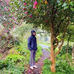 Will Taylor - @wilfredtaylor_ - Instagram