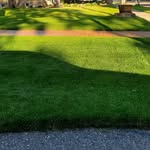 Wilfred Timothy - @wilfredtimothy - Instagram