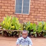 Wilfred William - @williamwilliam862751 - Instagram
