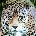 Wilfredo Cuadra - @wilfredo.cuadra.50 - Instagram