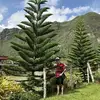 wilfredodizon509 - @wilfredodizon509 - TikTok