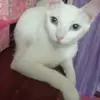 wilfredoferrebus - @wilfredoferrebus - TikTok