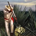 Wilfredo Guzman - @wili200020 - Instagram