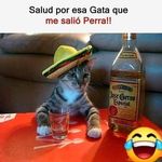 Wilfredo Herrera - @wilfredoherrera6 - Instagram