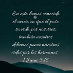 Wilfredo Rosa - @wilfredo.rosa_ - Instagram