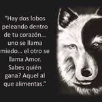 Wilfrido Rivera Reyna - @wilfridorivera - Instagram
