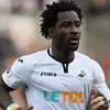 Wilfried Bony - @wilfriedbony_ - TikTok