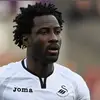 wilfried bony - @officialwilfriedbony - TikTok