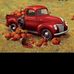 Wilhelm Braun - Facebook