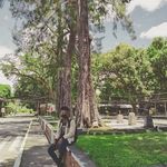 Calinggangan A. Wilhelm Jones - @detobioreymark - Instagram