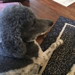 Wilhelm Neumann - @wilhelm.neumann.50 - Instagram