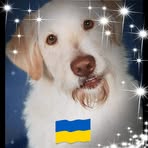 Wilhelm Neumann - Facebook