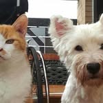 Wilhelm Richter - @wilhelm.richter.56 - Instagram