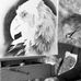 Ralf Wilhelm Schmidt - Facebook