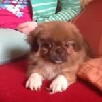 Wilhelm Schmidt - @wilhelm1481 - Instagram