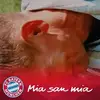 wilhelmschmidt33 - @wilhelmschmidt33 - TikTok