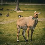 Wilhelm Stark - @wilhelmstark3 - Instagram