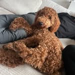 willy wilhem wickler - @willywilhelmwickler - Instagram