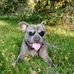 Wilhelm Busch Chiller Wiese - Facebook