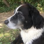 Williams - @willi_wilhelm_williams - Instagram