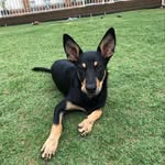 Will Amos - @will.__.amos - Instagram