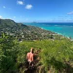 Will Andrews - @thewillandrews - Instagram
