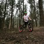 Will Ball - @will.ball.90 - Instagram