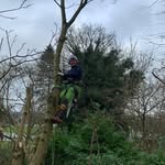 Will Banks 🌲🌳 - @willbanks_treework_gardening - Instagram