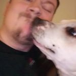 Will Barlow - @willy_bexclamationpoint - Instagram