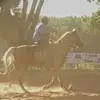 Willian Reif Barteli - @willianreifbartel - TikTok