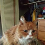 Will Bickford - Facebook