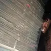 Binjuggin - @willbinjuggin - TikTok