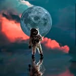 William old account - @willbinladen - Instagram