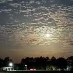 Will Blankenship - @will_blankenship1 - Instagram