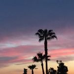 Will Blankenship - @will_blank - Instagram
