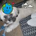 Willy Blaylock - Facebook