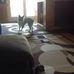 Will Blazek - Facebook