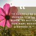 Will Bloom - Facebook