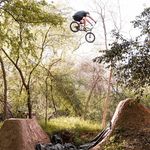 Will Blount - @willblount - Instagram