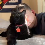 Will Blythe - @wblythe05 - Instagram