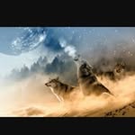 Will Bob - @godzilla1234005 - Instagram