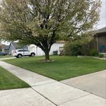 Will, Bodie, Nolan - @f3lawnservice - Instagram