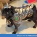 Will Bollwerk - Facebook