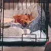 will booth - @will.booth04 - TikTok