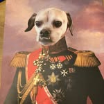 Will Boozer - @wboozapalooza - Instagram