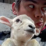 will bower - @where.theres.a.will_b - Instagram