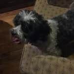 Will Bradford - @willieb5256 - Instagram