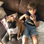Will Bradford - @henrybradford15 - Instagram